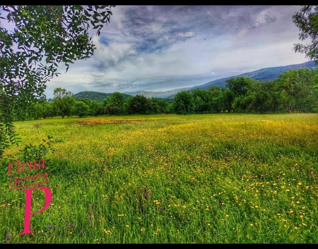 El Rincon De Los Lanchares Sotillo de la Adrada Exteriér fotografie